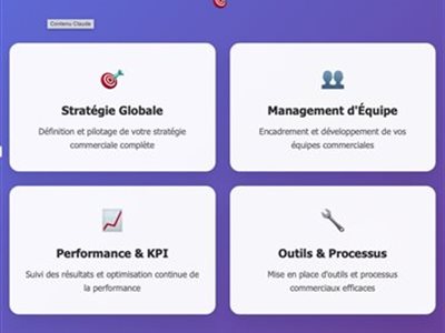 Urgence Manageriale : Atterra, créateur de performance commerciale